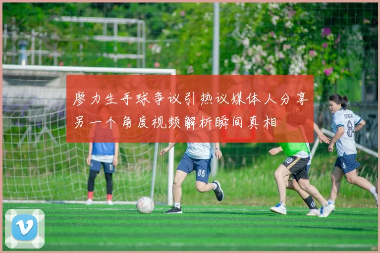 廖力生手球争议引热议媒体人分享另一个角度视频解析瞬间真相