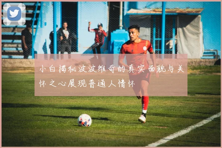 小白揭秘波波维奇的真实面貌与关怀之心展现普通人情怀