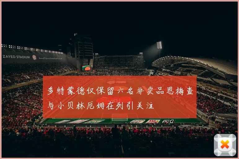 多特蒙德仅保留六名非卖品恩梅查与小贝林厄姆在列引关注